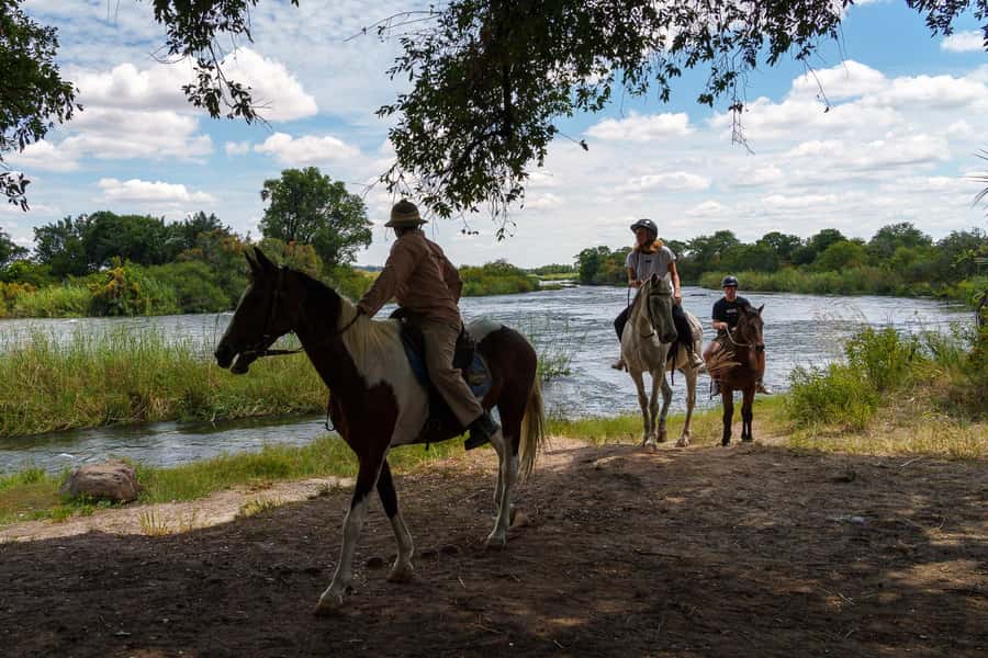 Victoria Falls National Park: Horseback Safari - The 4-Hour Plan: From AVANI Stables to Zambezi Bushveld