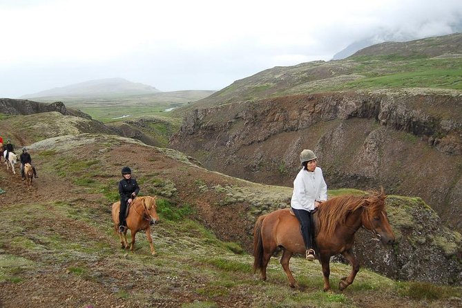 Viking Horse Riding and Golden Circle Tour from Reykjavik - Price and Value for $213.97 From Reykjavik