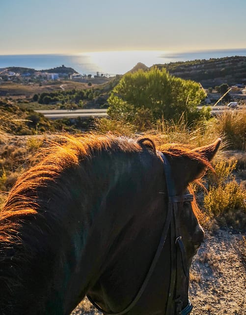 Villajoyosa:2-hour Horseback Riding Tour - Key things to know before you go