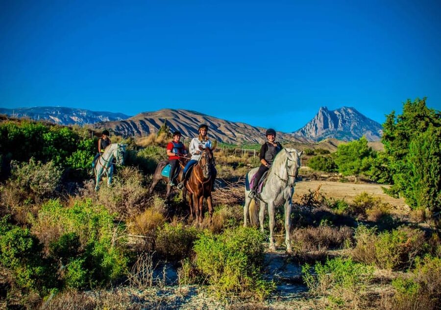 Villajoyosa:2-hour Horseback Riding Tour - Helmet, Clothing Rules, and the Small Comforts That Matter