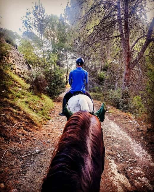 Villajoyosa: Horseback Riding in the Mountains - Why this horseback ride beats a typical Benidorm day