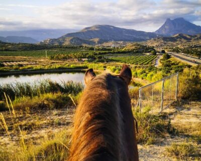 Villajoyosa Horseback Riding in the Mountains with sea views - Price: does $47 feel fair here?