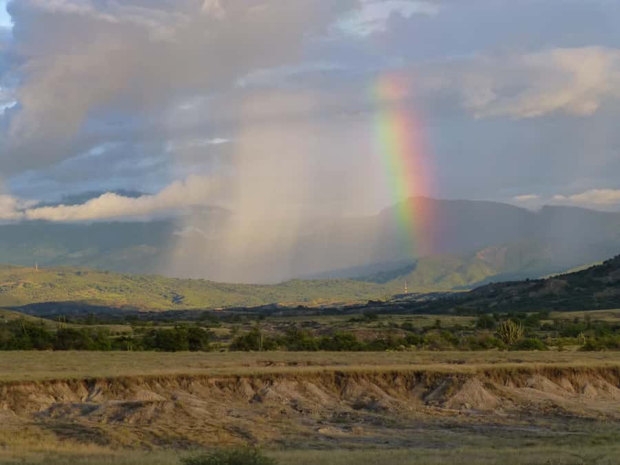 Villavieja: Tatacoa Desert Horseback Riding Tour - What the Strong Satisfaction Usually Means for You