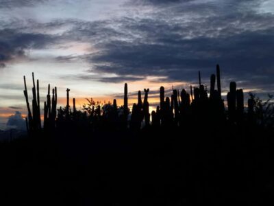 Villavieja: Tatacoa Desert Horseback Riding Tour - Starting at the Pickup Point (And Why It Matters)