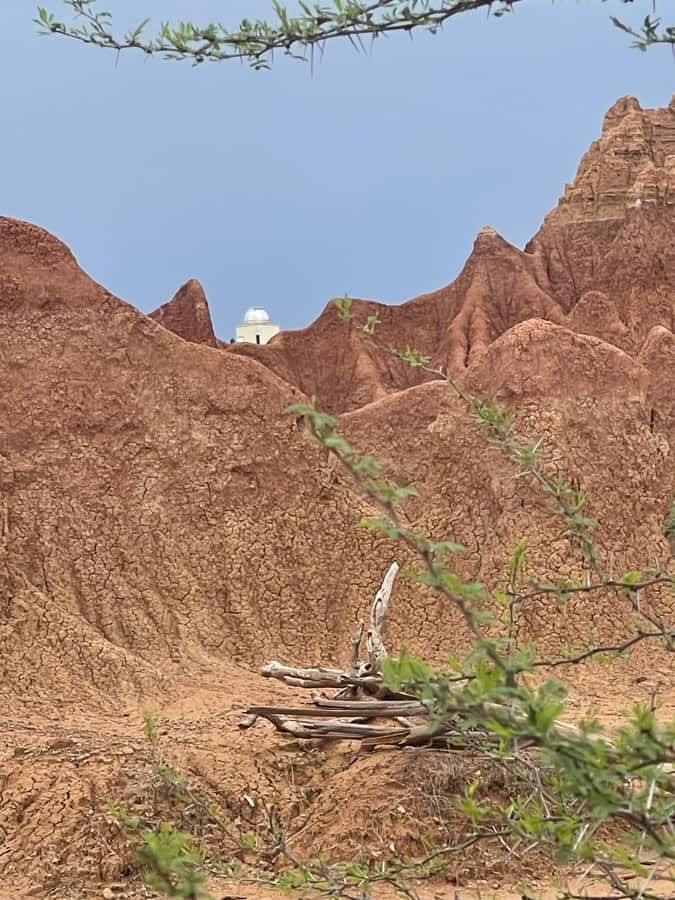 Villavieja: Tatacoa Desert Horseback Riding Tour - The Fossil Stop: Why Prehistoric Animals Change How You See the Desert