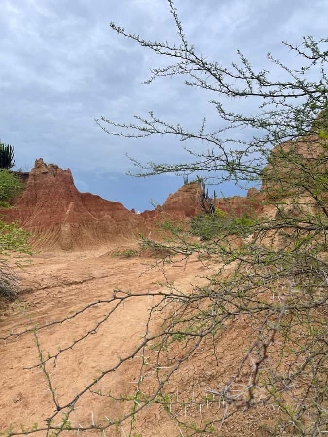Villavieja: Tatacoa Desert Horseback Riding Tour - Value for Money: Is $86 Worth It?