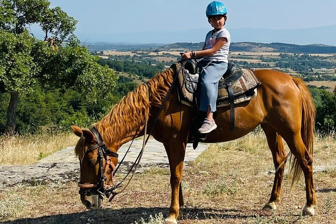 Visit a Farm and Horseback Riding in Nature - Key highlights at a glance