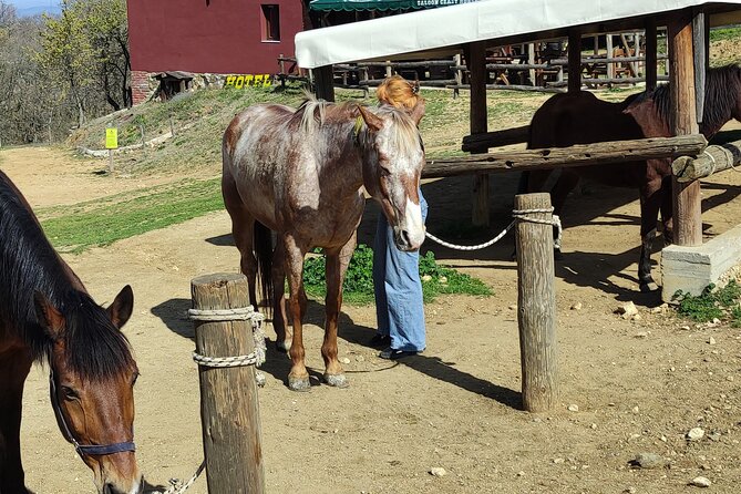 Visit a Farm and Horseback Riding in Nature - Who this Thessaloniki horseback outing is best for