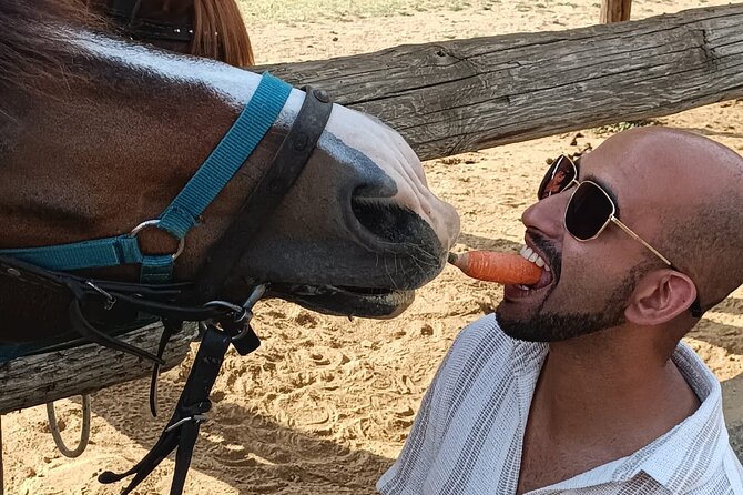Visit a Farm and Horseback Riding in Nature - Weather, timing, and what can affect your afternoon