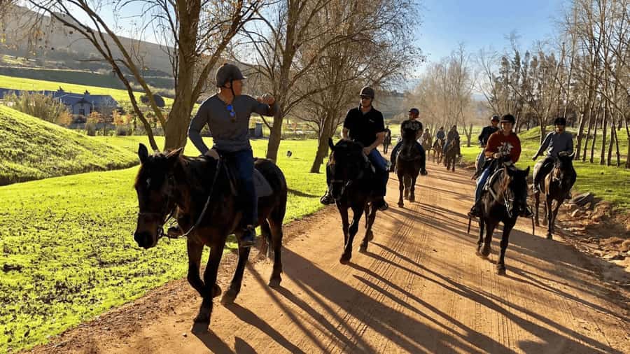 Vrede en Lust Wine Estate:1-Hour Horseback Riding Experience - Key Things You’ll Notice on This Ride