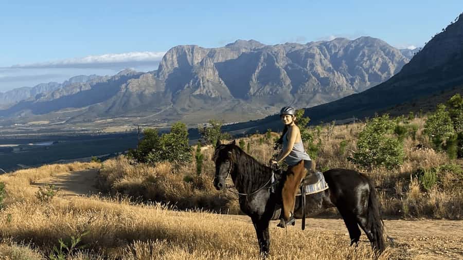 Vrede en Lust Wine Estate:1-Hour Horseback Riding Experience - Entering Vrede en Lust: Timing Beats Guessing