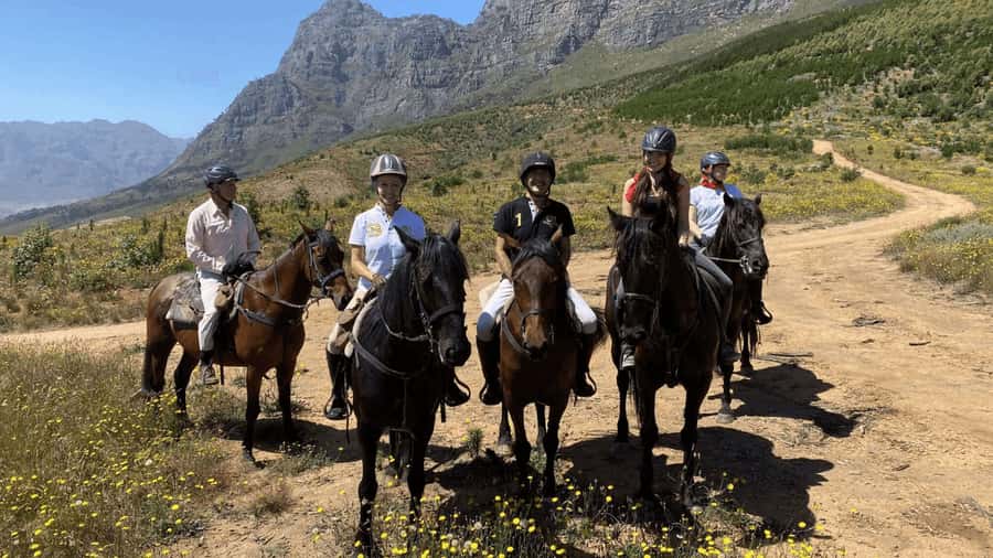 Vrede en Lust Wine Estate:1-Hour Horseback Riding Experience - The Ride Itself: Vineyards, Mountains, and a Relaxed Rhythm