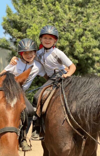 Vrede en Lust Wine Estate:1-Hour Horseback Riding Experience - Meeting Your Horse: Where Beginners Gain Confidence