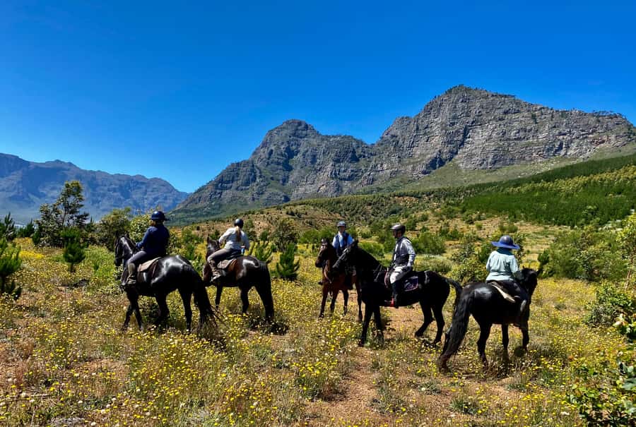 Vrede en Lust Wine Estate:1-Hour Horseback Riding Experience - Who This Ride Fits Best (And Who Might Want a Different Plan)