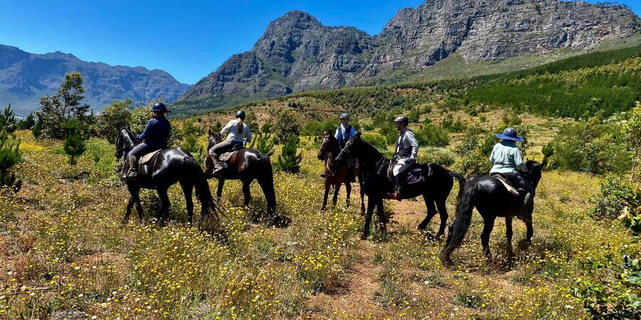 Vrede en Lust Wine Estate:1-Hour Horseback Riding Experience - What to Wear and Bring for Comfort and Control