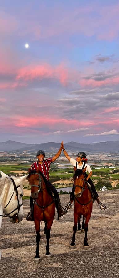 Vrede en Lust Wine Estate:1-Hour Horseback Riding Experience - Weather, Delays, and Minimum Riders: The Reality Check