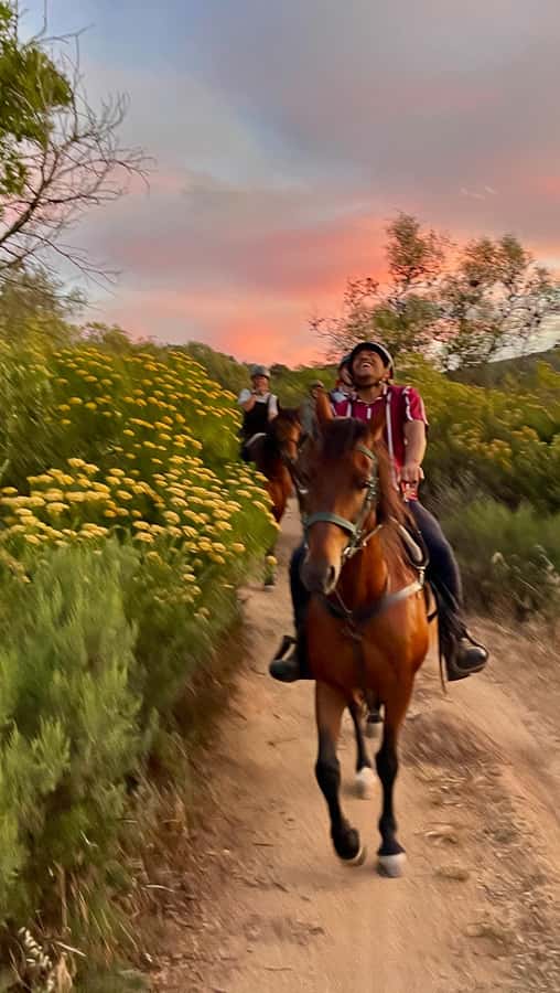 Vrede en Lust Wine Estate:1-Hour Horseback Riding Experience - After the Saddle: Saying Goodbye at the Stables