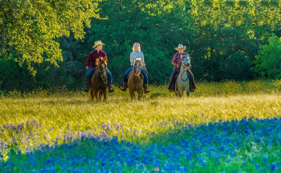 Waco: Horseback Riding Tour with Cowboy Guide - Why This Texas Horseback Ride Feels Real, Not Performative