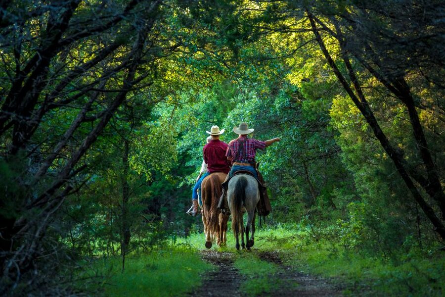 Waco: Sunset Horseback Ride - Key Things I’d Prioritize on This Ride