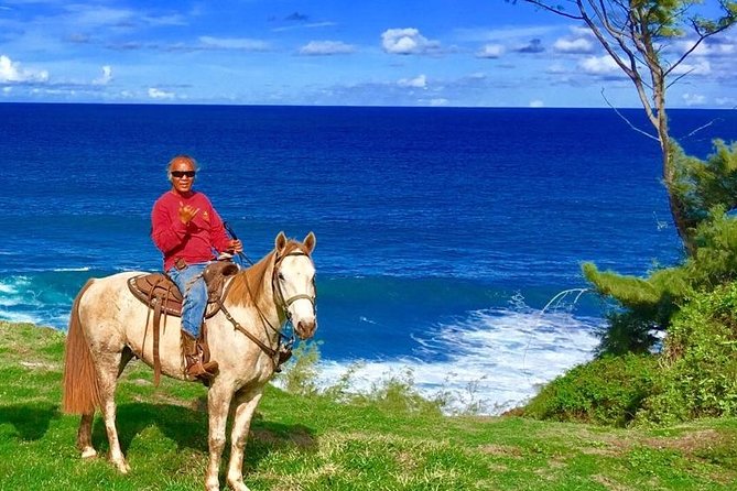 West Maui Mountain Waterfall and Ocean Tour via Horseback - Why This West Maui Horseback Tour Works So Well
