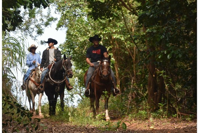 West Maui Mountain Waterfall and Ocean Tour via Horseback - Morning Pickup at Kahekili Hwy: The Start That Sets the Tone