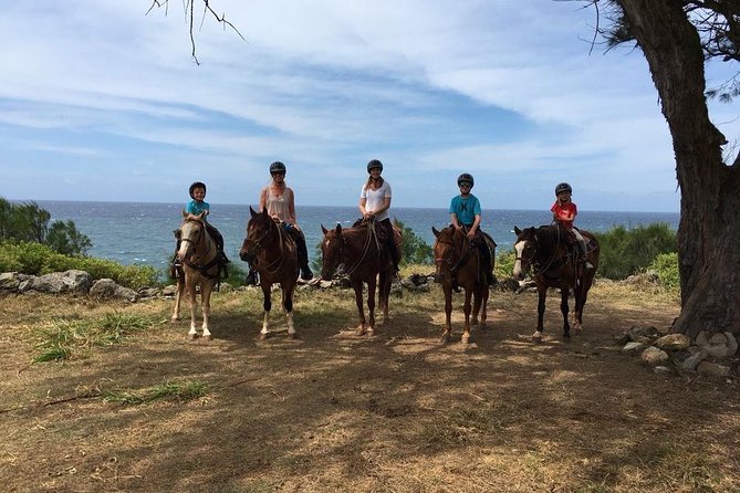 West Maui Mountain Waterfall and Ocean Tour via Horseback - The Petting Zoo Stop: A Real Break From the Saddle