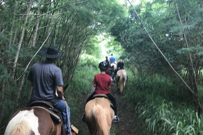 West Maui Mountain Waterfall and Ocean Tour via Horseback - Photos and Cold Drinks: Small Touches That Matter