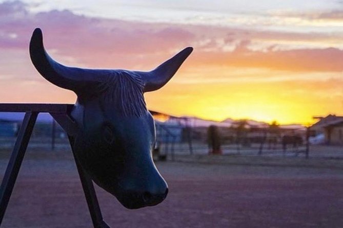 Wild West Sunset Horseback Ride with Dinner from Las Vegas - The ranch intermission: animals, hands-on moments, and a quick reality check