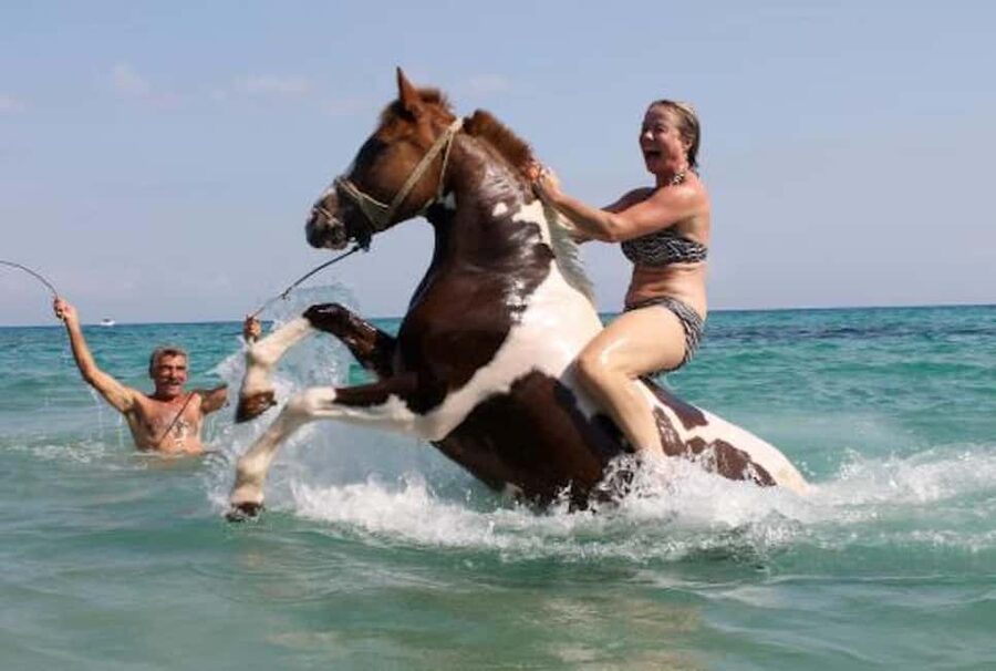 Zakynthos: Yotomu Horse Riding and Swimming Experience - Key Takeaways Before You Go