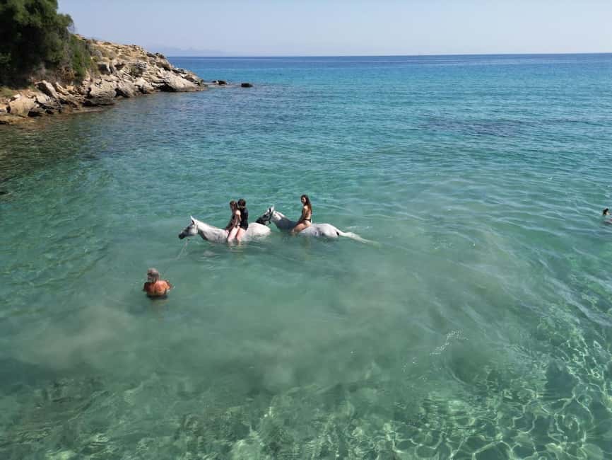 Zakynthos: Yotomu Horse Riding and Swimming Experience - A Real-Farm Setup in Kato Gerakari