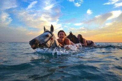 Zakynthos: Yotomu Horse Riding and Swimming Experience - Your Main Choice: 3 Hours With Swimming or Wild Nature Short Loops