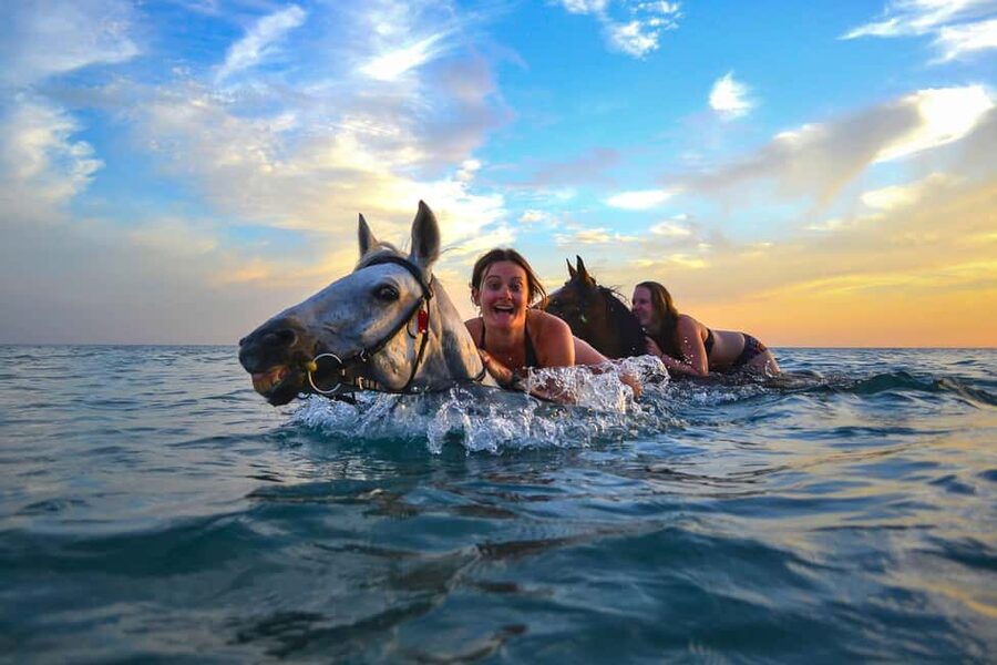Zakynthos: Yotomu Horse Riding and Swimming Experience - Wild Nature 1H: Olive Groves, Vineyards, and Big Views (Evening)