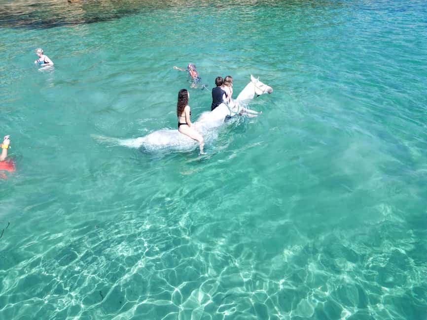 Zakynthos: Yotomu Horse Riding and Swimming Experience - Wild Nature 2H: The Longer Trail With Extra Rules