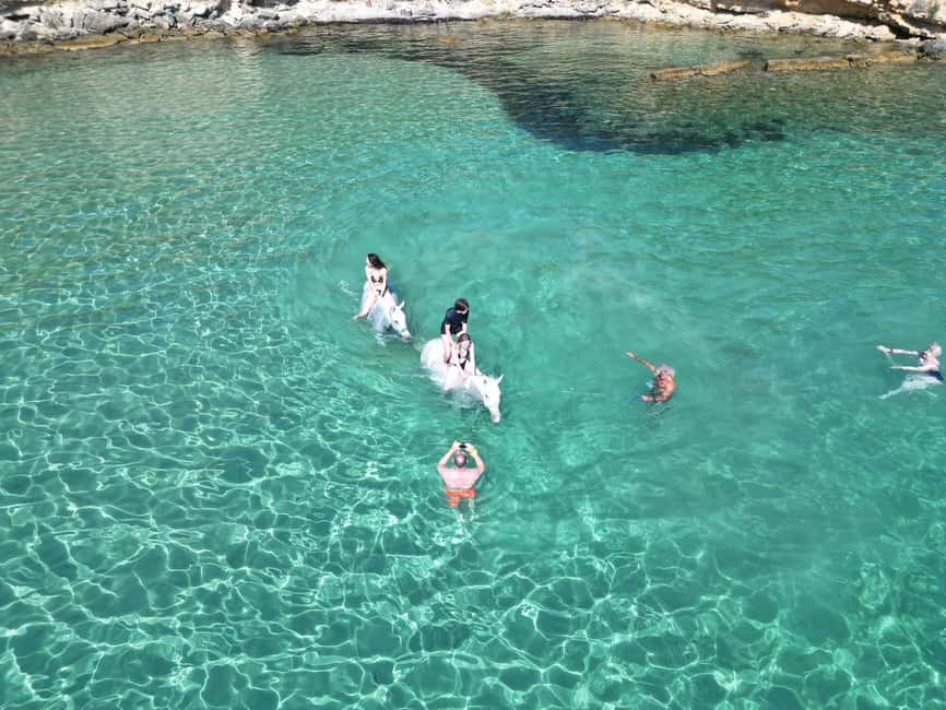 Zakynthos: Yotomu Horse Riding and Swimming Experience - Safety and Comfort: Trails, Water, and Horse Behavior