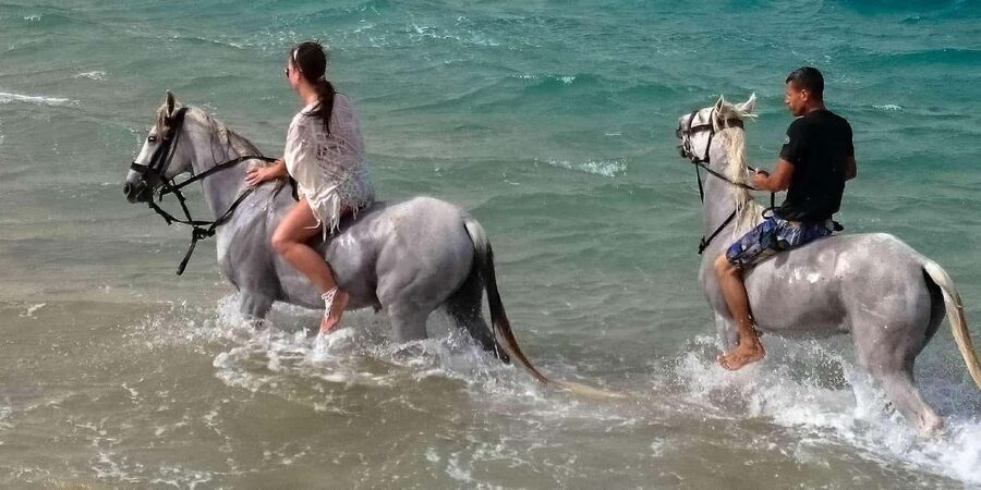 Zakynthos: Yotomu Horse Riding and Swimming Experience - Group Size: The Quiet Advantage