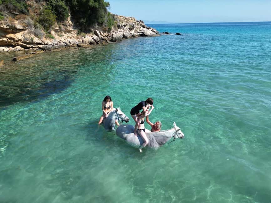 Zakynthos: Yotomu Horse Riding and Swimming Experience - Price and Value: Why $58 Can Make Sense