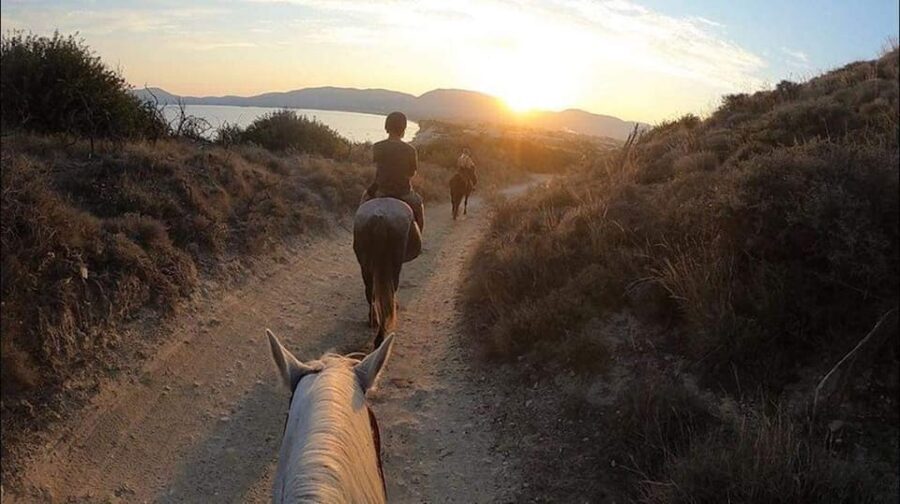 Zakynthos: Yotomu Horseback Riding Tour - What to bring (and what makes the day smoother)
