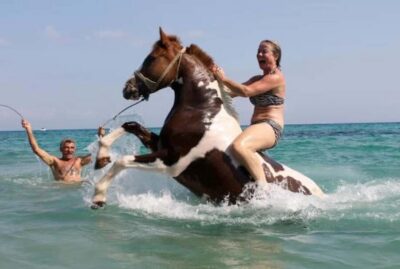 Zakynthos: Yotomu Horseback Riding Tour - Getting started at Happy Horses in Kalamaki (and how the timing really works)
