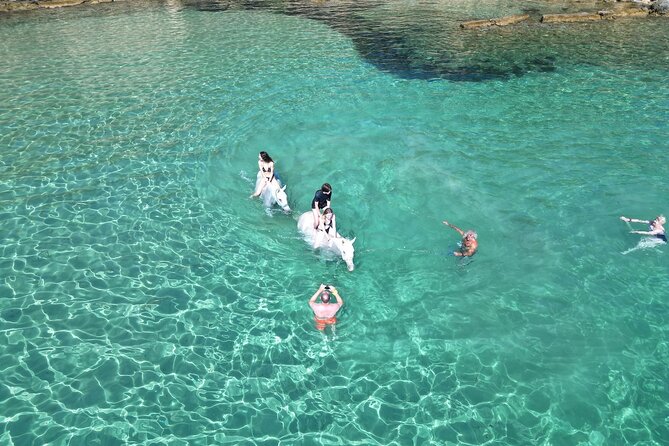 Zakytnhos Horse Riding Swimming Experience - Wild Nature Tour 2 (1 hour): vineyards, olive groves, and viewpoints