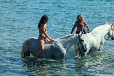 Zakytnhos Horse Riding Swimming Experience - What to know about swimming with horses (before you picture it)