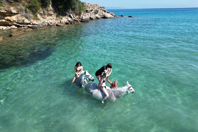 Zakytnhos Horse Riding Swimming Experience - Wild Nature Tour 3 (2 hours) starting at 18:00: a longer countryside option