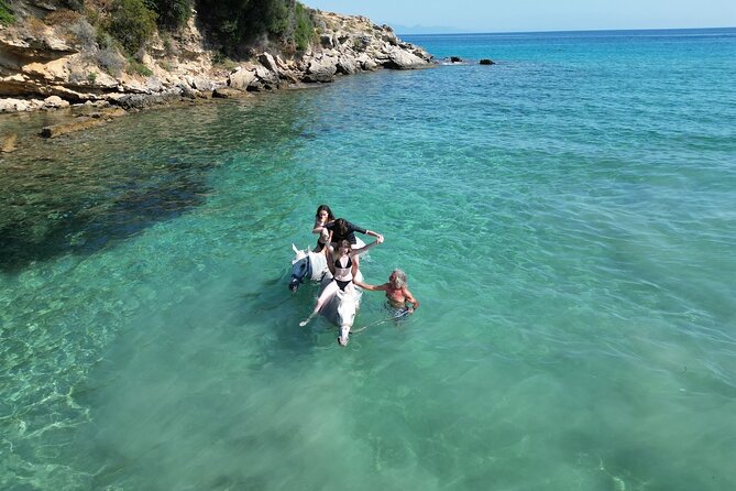 Zakytnhos Horse Riding Swimming Experience - Price and value: is $59.86 per person a fair deal?