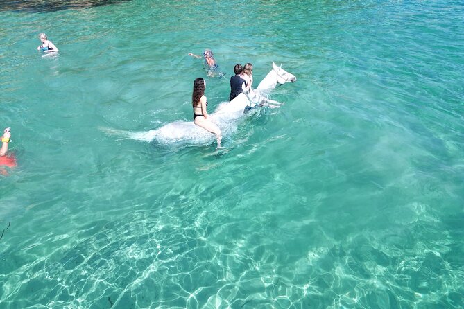 Zakytnhos Horse Riding Swimming Experience - Who this tour suits best (and who might not fit)