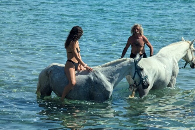 Zakytnhos Horse Riding Swimming Experience - What to know about swimming with horses (before you picture it)