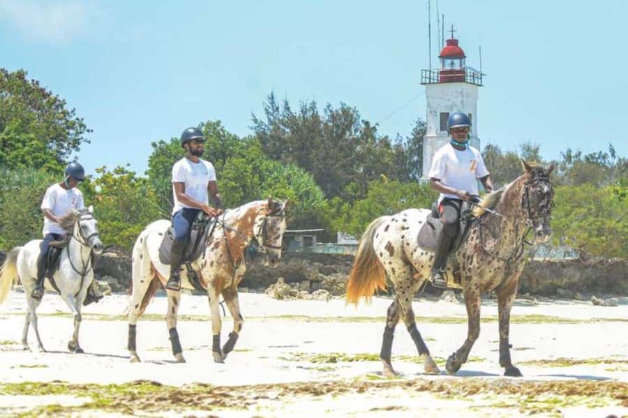 Zanzibar: Beach Horseback Ride and Swim with the Horse - Getting Picked Up in Zanzibar: Timing, Driver Meet Points, and the Smooth Start