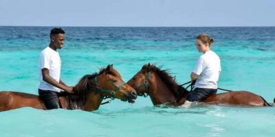 Zanzibar: Beach Horseback Ride and Swim with the Horse - The Stable-to-Beach Transfer: What Happens Before You Mount
