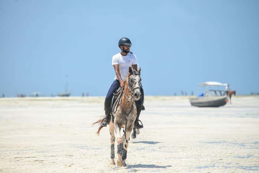 Zanzibar: Beach Horseback Ride and Swim with the Horse - Price and Value: Is $136 for 30 Minutes Worth It?
