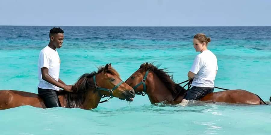 Zanzibar: Beach Horseback Ride and Swim with the Horse - The Stable-to-Beach Transfer: What Happens Before You Mount