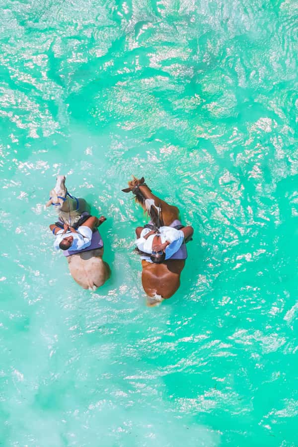 Zanzibar: Horse Riding and Kayaking with Video and Photos - What to Bring for a Comfortable Day in the Sun
