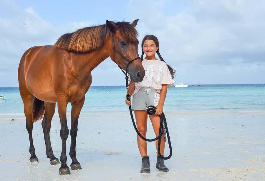 Zanzibar Horseback Riding - 30 Minutes on the Clock: What the Ride Time Really Means